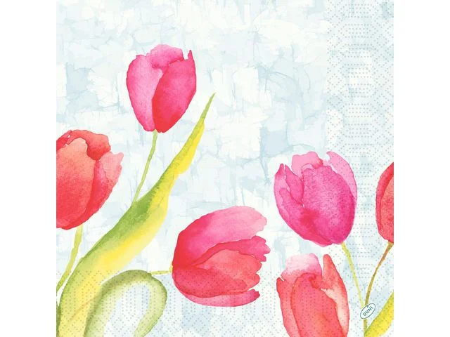 Servett Tulips 3-lags 40X40cm 250/fp risnedsättning