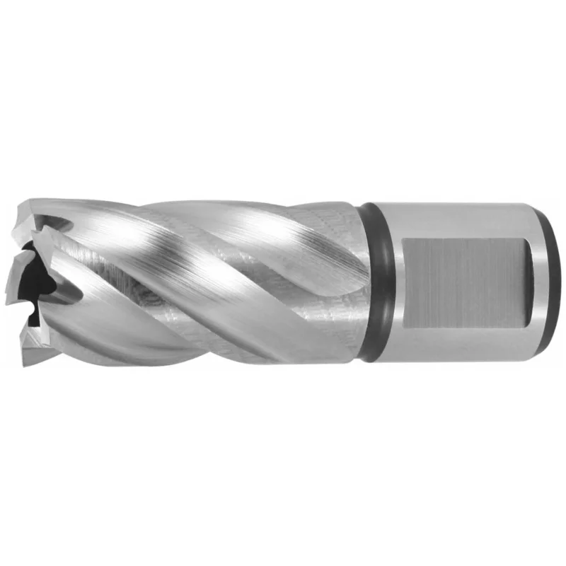 risnedsättning Kärnborr HSS Skärdjup 30 mm obelagd