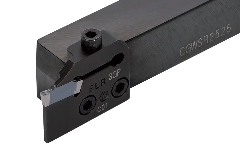 Nyhet CGWSR2020-FLR4GP
