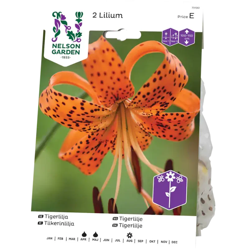 Sista chansen Tigerlilja Nelson Garden Orange
