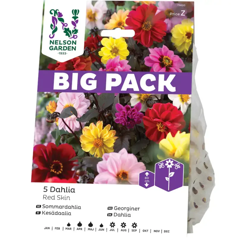 Dahlia Unwins Nelson Garden Red Skin BigPack Erbjudandepris